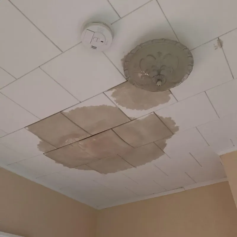 Ceiling Water Damage Repair in Manson, IA